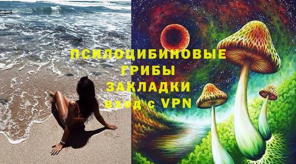 соль курить ск Медвежьегорск
