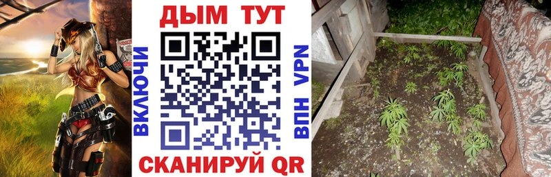 площадка Telegram Мостовской МАРИХУАНА тримм